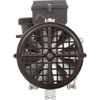 Pump, BWG Vico Ultimax GE, 3.0hp, 6A, 230v, 2"mbt, OEM