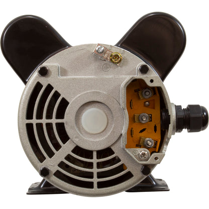 Pump, LX 48WUA, 1.5hp, 115v, 2-Spd, 48Fr, 2"