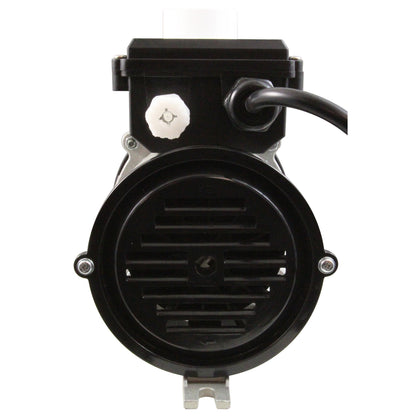 Pump, Circ, LX WCA, for Platinum Spa (USA Version) , w/Air Switch