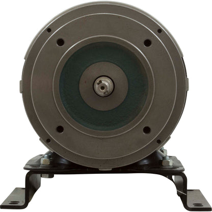 Motor, Speck, 0.5 Horsepower, 115v/230v, 1 Speed, 21-80/30 G