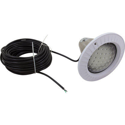 Pool Light, Hayward, 500W, 120V, 100' Cord, Expert Line
