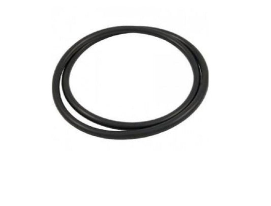 Pool Filter Tank O-ring For FNS Plus, Quad DE, Clean & Clear Plus 39010200 O-497